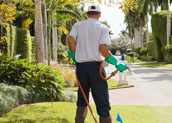 About Coldspring TX Pest Control
